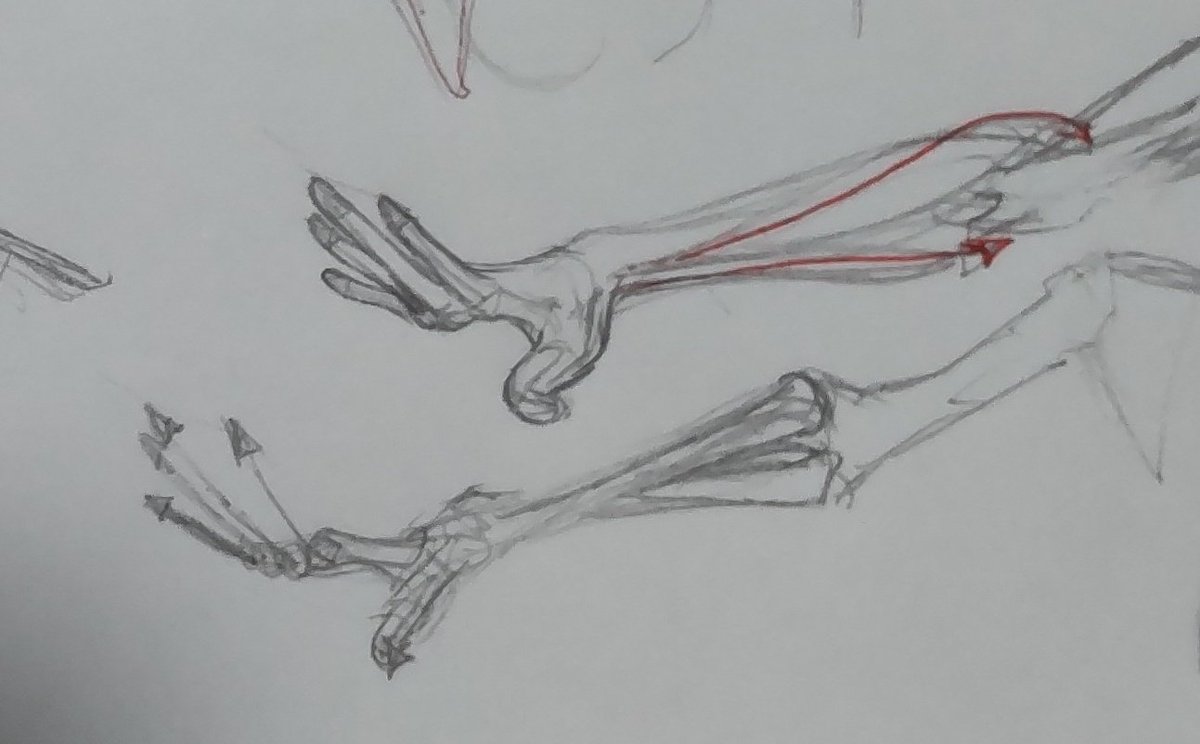 jibun_update's tweet photo. 手が上手く描けなくて、いつも、指が凄く時間かかり過ぎて、効率悪いので、モルフォ人体デッサン練習中。

出きるまで時間かかるだろうけど、描ける様になれば、作品描く時間が大幅に減る様になるはずだ。

本を参考に矢印を描くと、指少し描きやすいかもしれない。 https://t.co/BBQs72jfgV