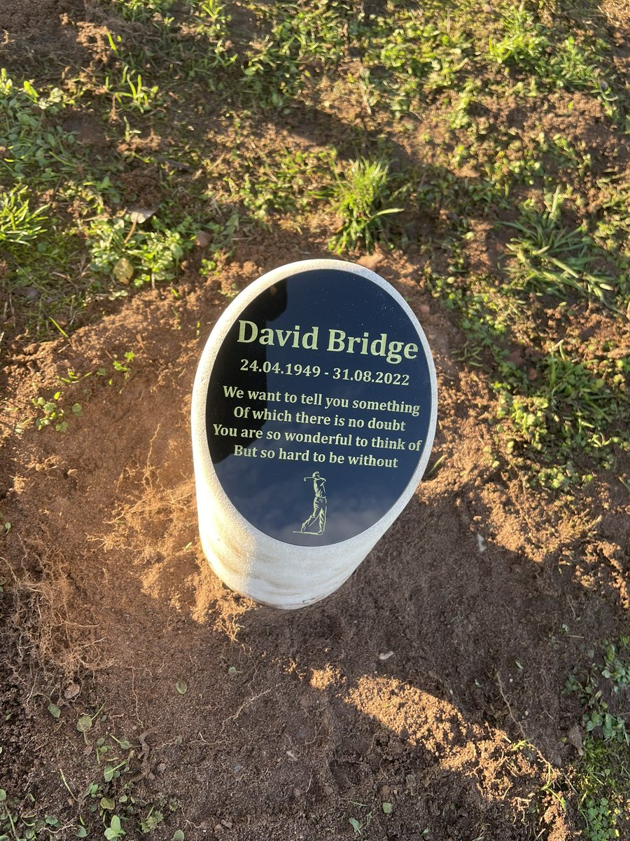 Diss Greens tweet media