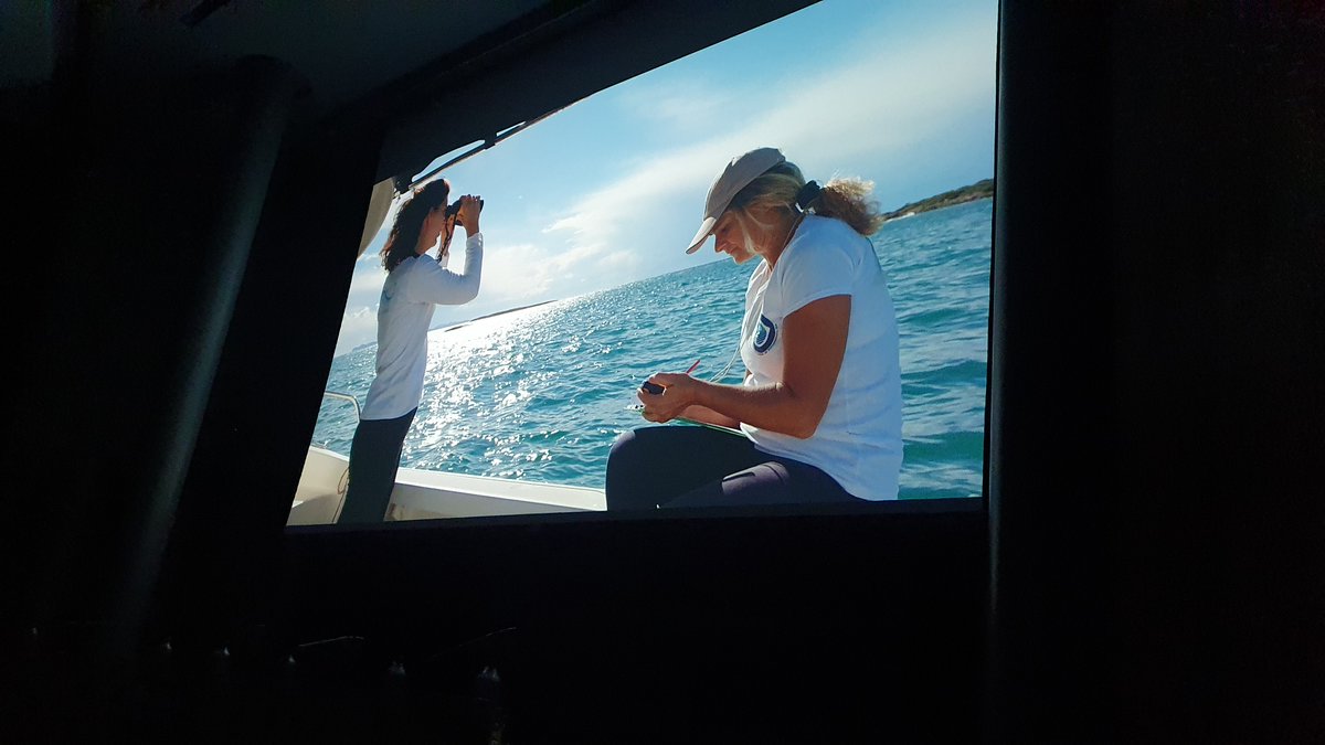 ieo_baleares's tweet photo. 🎬🎦🌊 Gran acogida del preestreno del documental 'El Futuro del Océano" del @IEOoceanografia ayer tarde en el auditorio de la Fundació Sa Nostra en Palma.

Muchas gracias a todo el público por vuestra asistencia 🤗

#semanacienciaCSIC https://t.co/nWspRnXKMT