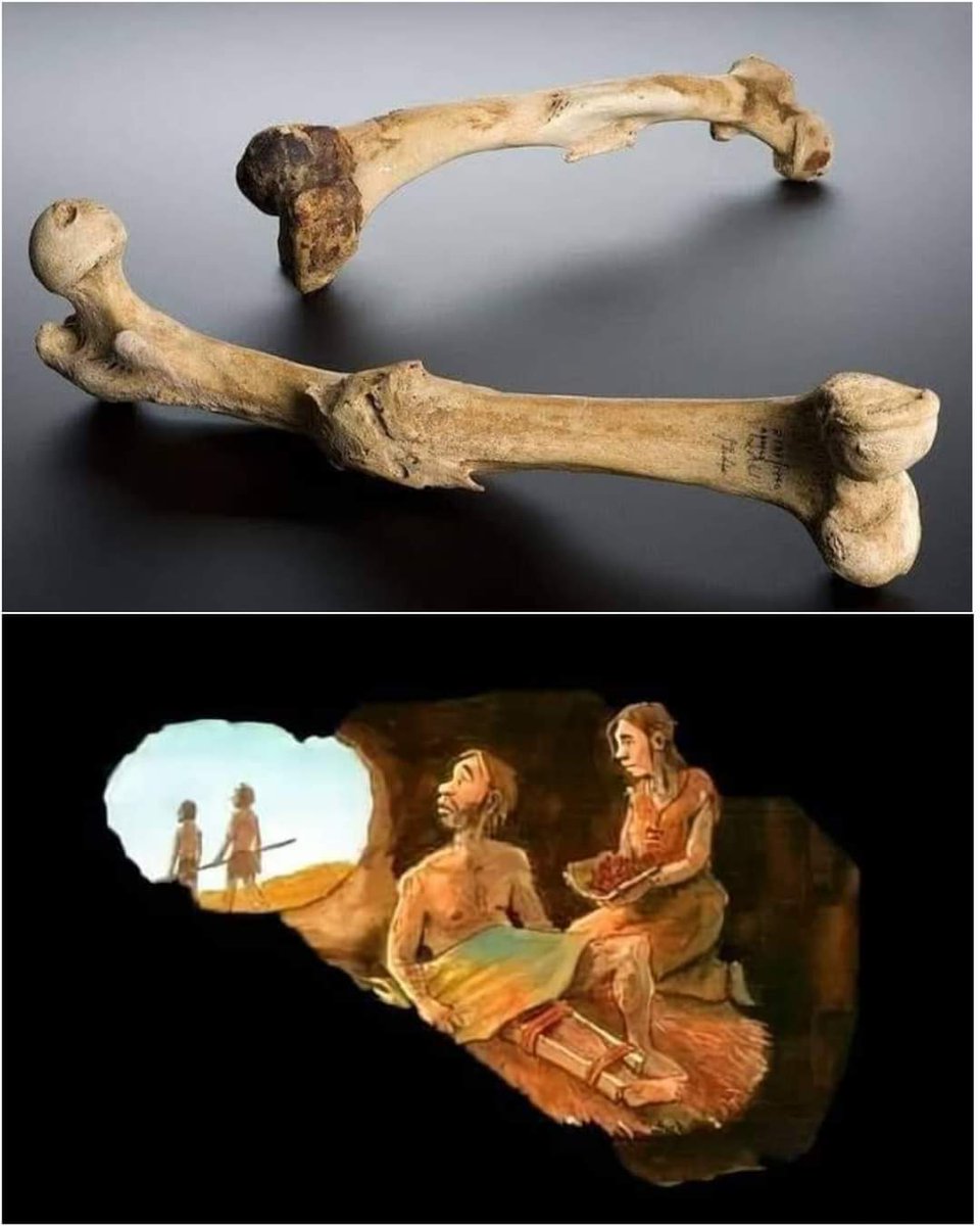 ErigolDelViento's tweet image. ️️En una conferencia, un estudiante universitario preguntó a la antropóloga Margaret Mead, cuál consideró que era el signo más antiguo de civilización en una cultura. (+)