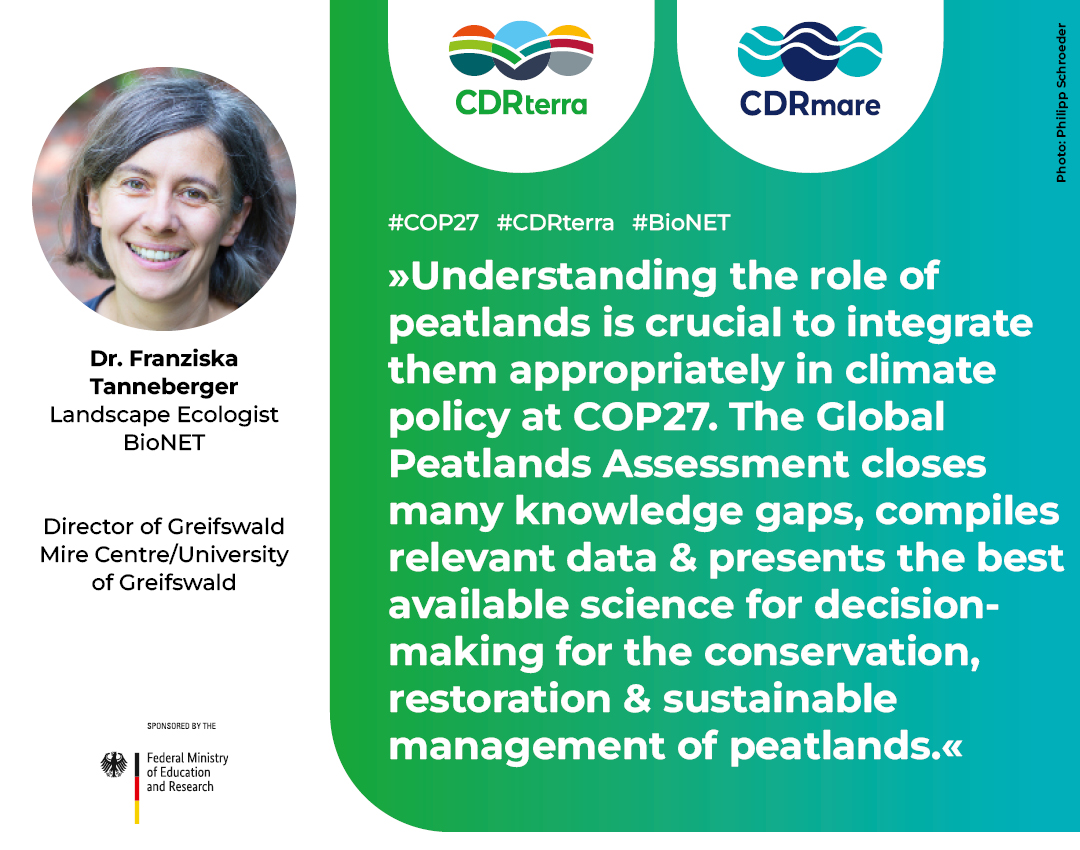 #Peatlands are important #CO2 stores. What is their current status?
Today 1.15 - 2.45 pm at the @UNEP event at #COP27 with @SteffiLemke, CDRterra scientist @TannebergerF from @uni_greifswald & @greifswaldmoor will present the #GlobalPeatlandsAssessment!
unep.org/events/confere…