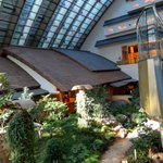 ツイートに含まれる画像