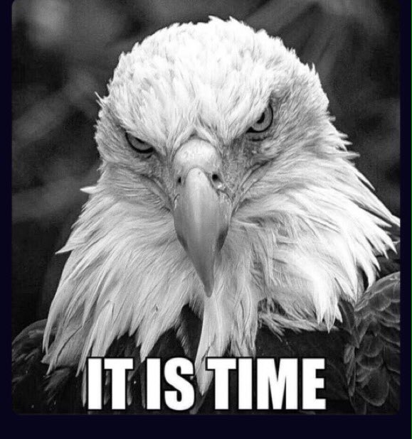 syl_en's tweet image. The TRUTH Allways Comes The Traitors
World Wide Do Have To Be Punished 
For This SCAM Genocide Big Time

m.facebook.com/story.php?stor…