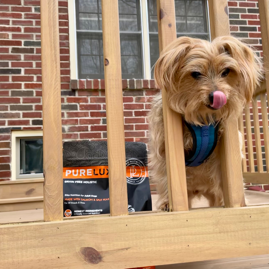 PureLUXEPetFood's tweet photo. How well does your pet’s food feed?  It looks like PURELUXE sure is tasty here. 

#pureluxe https://t.co/NB70oPy40i