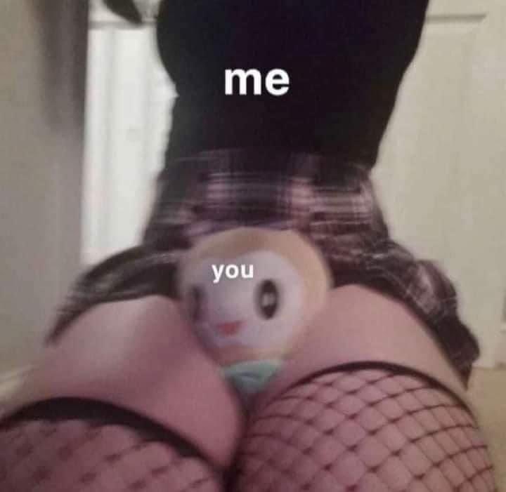 BlossomyBri's tweet image. when