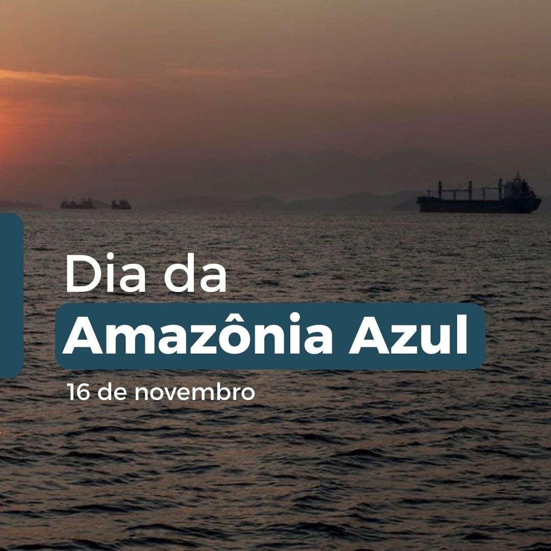praticagemdobr's tweet photo. O Dia Nacional da #AmazoniaAzul foi criado, em 2015, e instituiu o termo que conscientiza sobre a importância da proteção da nossa área marítima. A data de 16 de novembro foi escolhida em homenagem à entrada em vigor da Convenção das Nações Unidas sobre Direito do Mar. https://t.co/daZInoOXw6