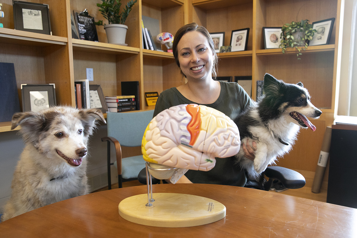 Today the <a href="/LabHecht/">Hecht Lab</a> takes over our feed to talk about the Canine Brain Project. Dr. Erin Hecht is Prof. of the new class @harvardheb on “#Dogs: Behavior, Evolution, &amp; Domestication.” Read the Harvard Gazette article about the class &amp; study: bit.ly/HechtGazette. <a href="/scienceofdog/">Julia Espinosa</a>