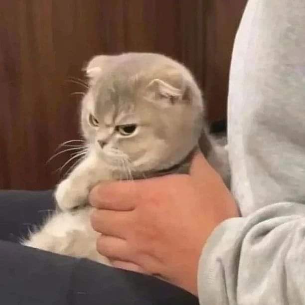 reeve. (@reeeverie) on Twitter photo 