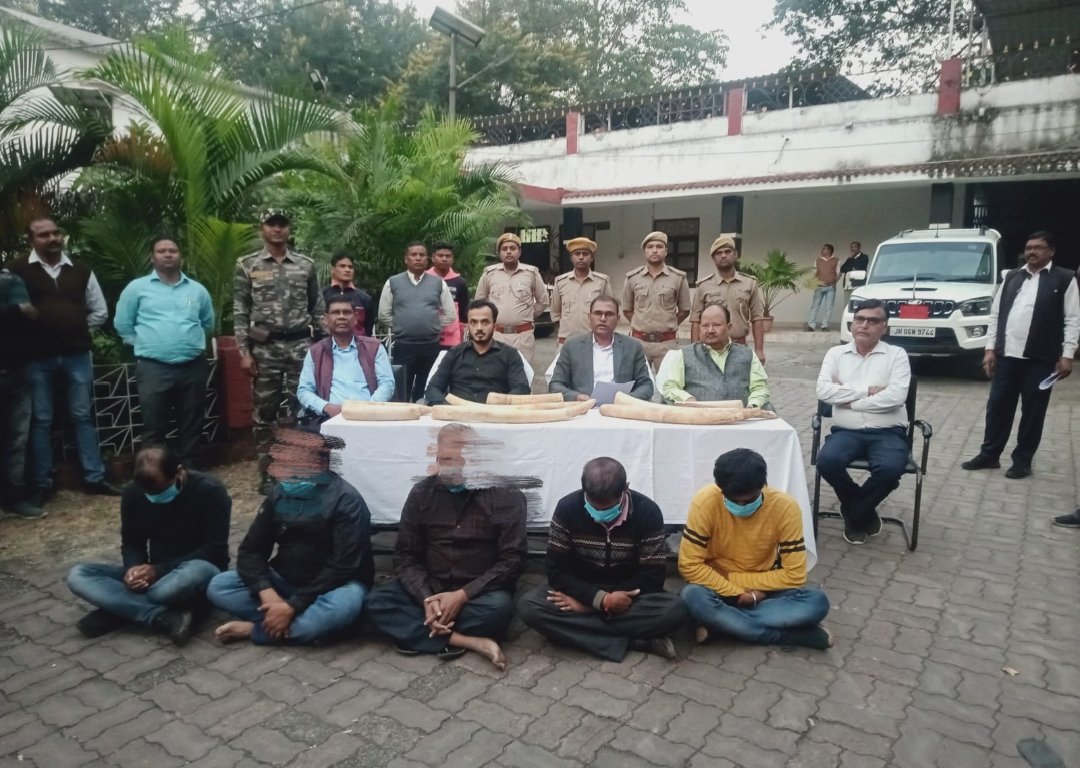 JharkhandVan's tweet photo. In joint operation of Chaibasa Forest division and @WCCBHQ, 10 pieces of elephant tusk of different sizes were seized from Chaibasa. 5 persons have also been arrested.
@moefcc @HemantSorenJMM @JharkhandCMO https://t.co/i9Q7HfBwU1