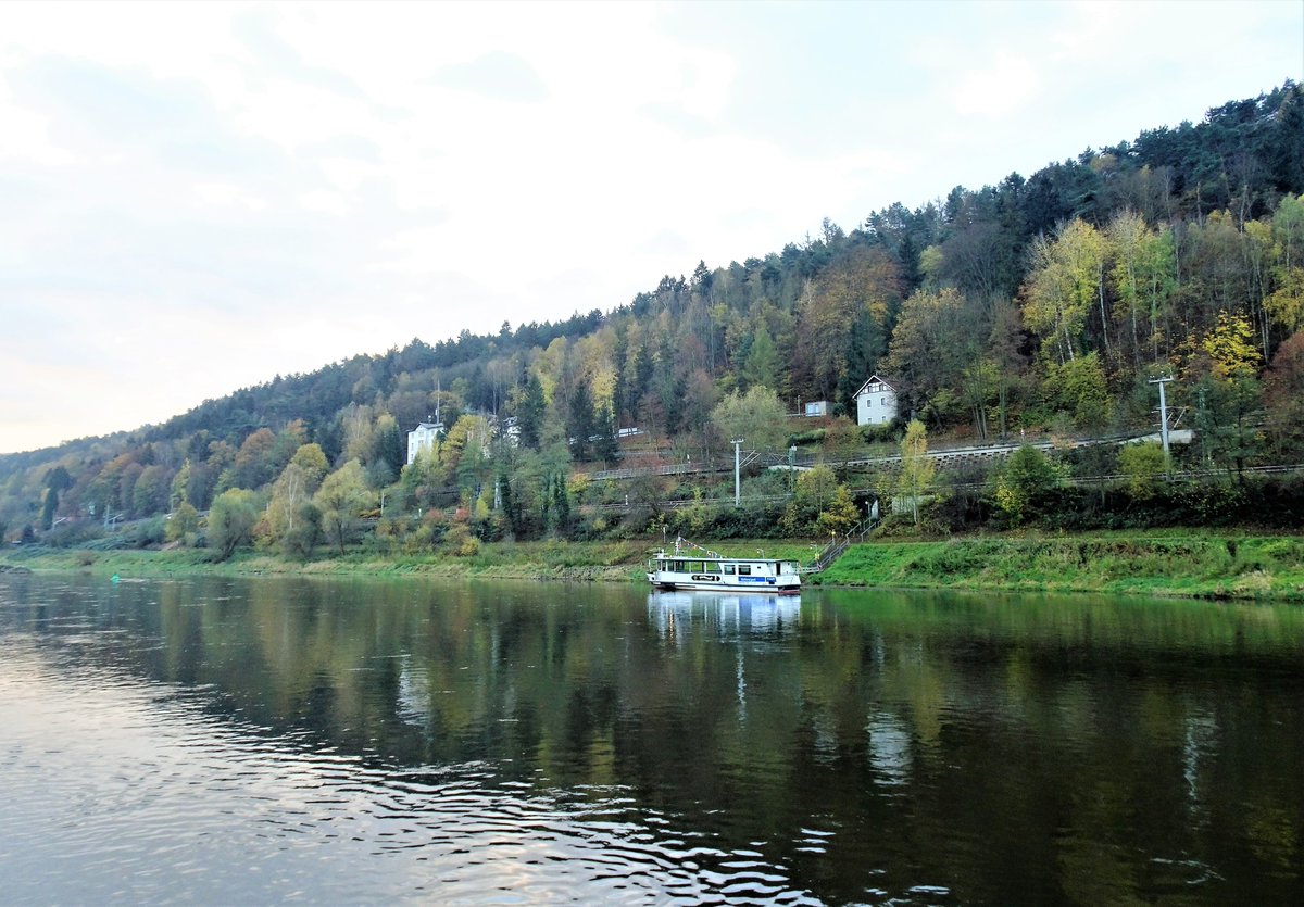 pac1610's tweet photo. Reflections of the #RiverElbe cruising on #VikingBeyla from #BadSchandau to #Dresden!💚🍂💛🍂🧡 @ThePhotoHour @StormHour @StormHourMark @lebalzin @YourAwesomePix @LensAreLive @VikingCruises @VisitGermanyUK #ePHOTOzine #MyVikingStory #landscapephotography https://t.co/cs2Mu1mvTy