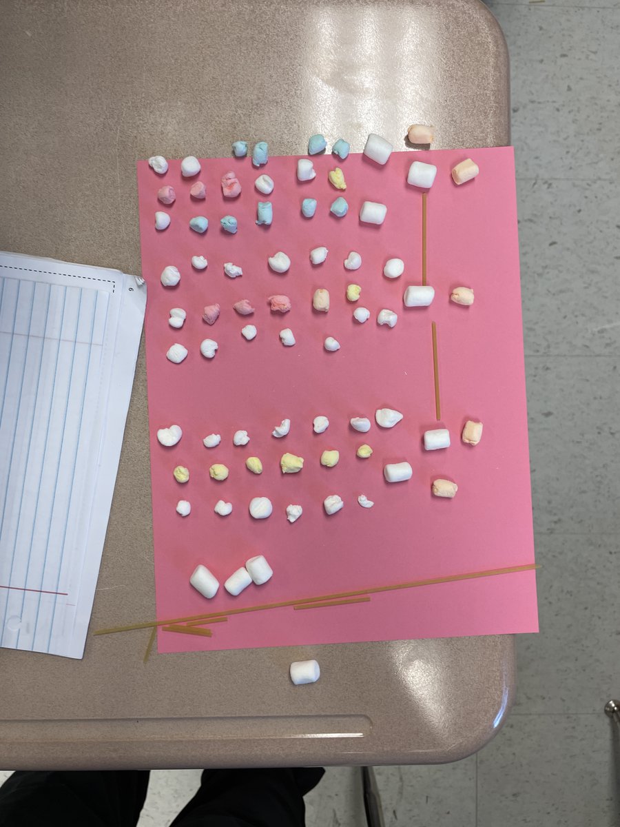 13MsJohnson13's tweet photo. Everyone loves to make some triglycerides out of marshmallows! (Work in progress) #Connectin5 #Biology https://t.co/5PbOl7qmtf
