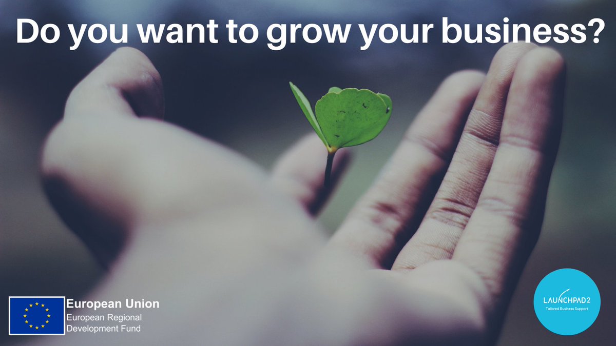 Launchpad 2 - Tailored Business Support tweet media