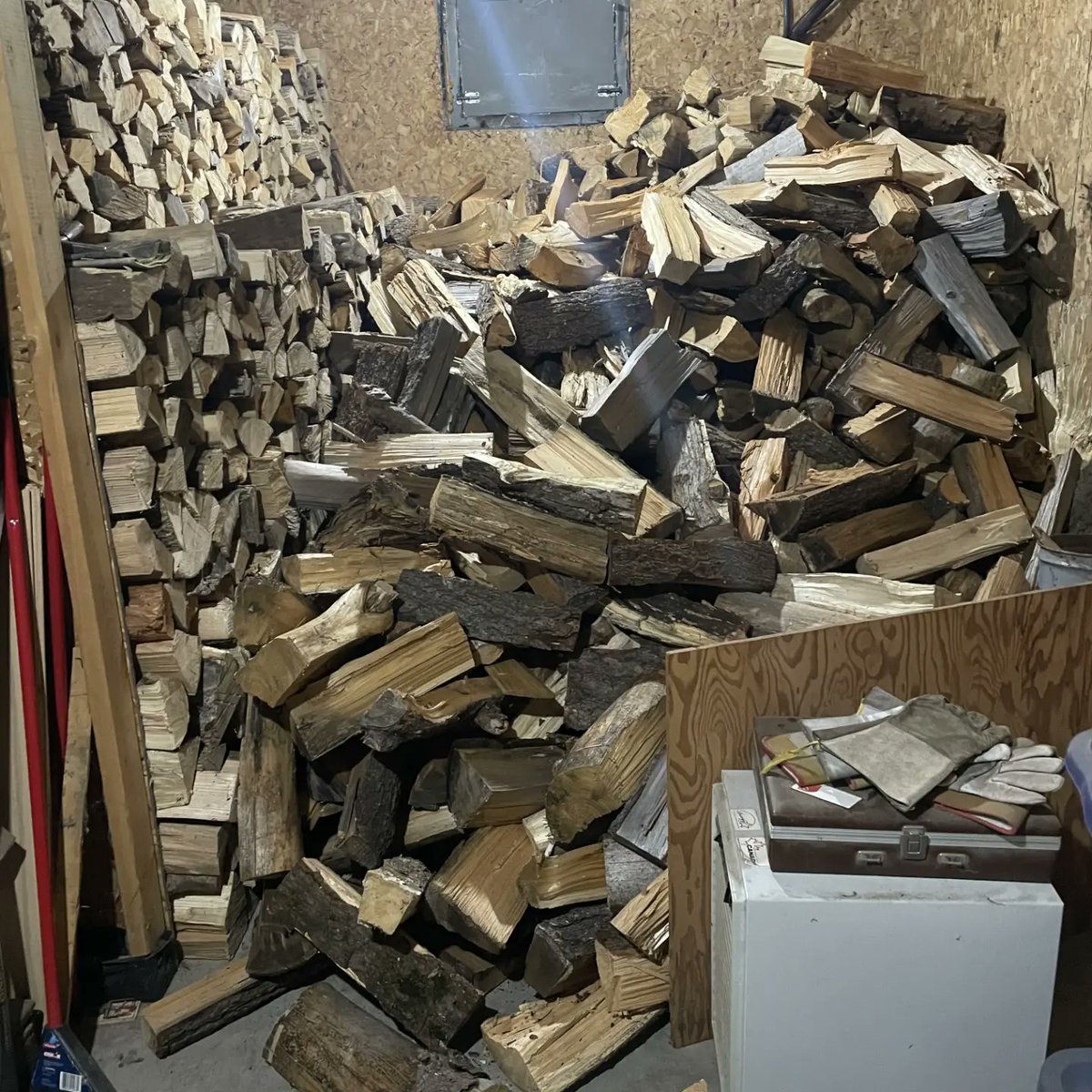 It was a hustle but with Stella Cat supervising, all of our fall chores got finished just in time! 🌨

The cover crops have established their roots, the garlic is tucked in and topped with composted manure, and the firewood has been loaded into the shed.

Bring on winter! ❄