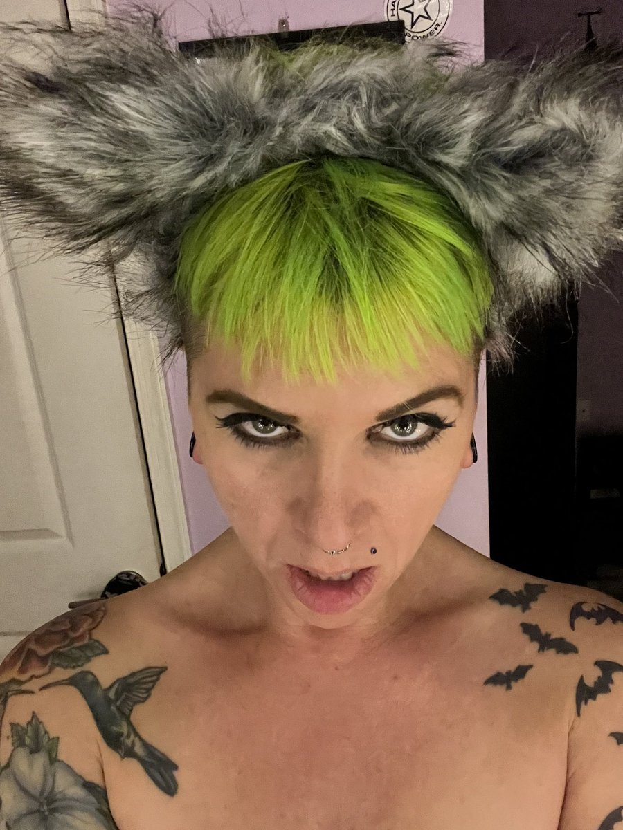 Hellbound_Heath's tweet photo. Lone She Wolf set up on my @onlyfans https://t.co/JxDhk31yHT #boobs #butt #tattoos #shewolf #buttplugtails #onlyfans @Inkedmag #inkedwomen https://t.co/p9yhO9t9tB