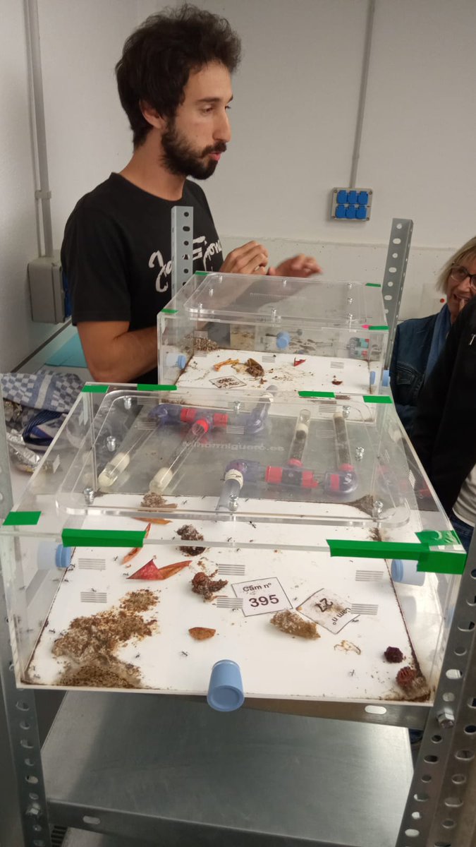 Institut Rocagrossa tweet media