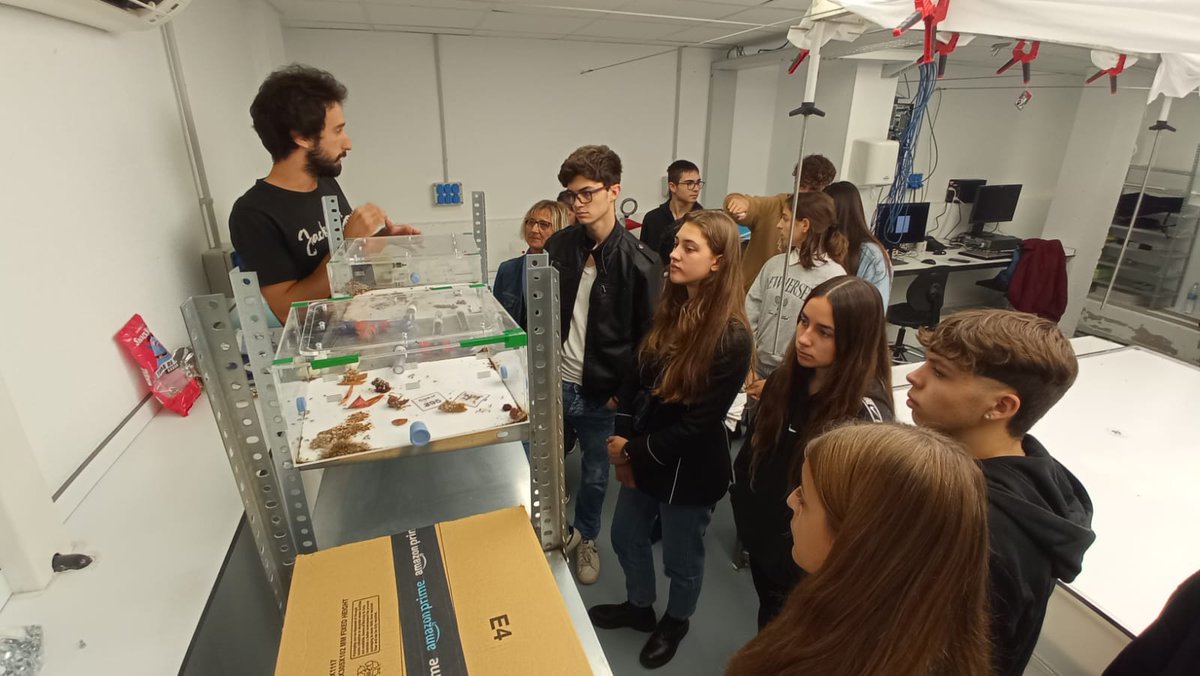 Institut Rocagrossa tweet media