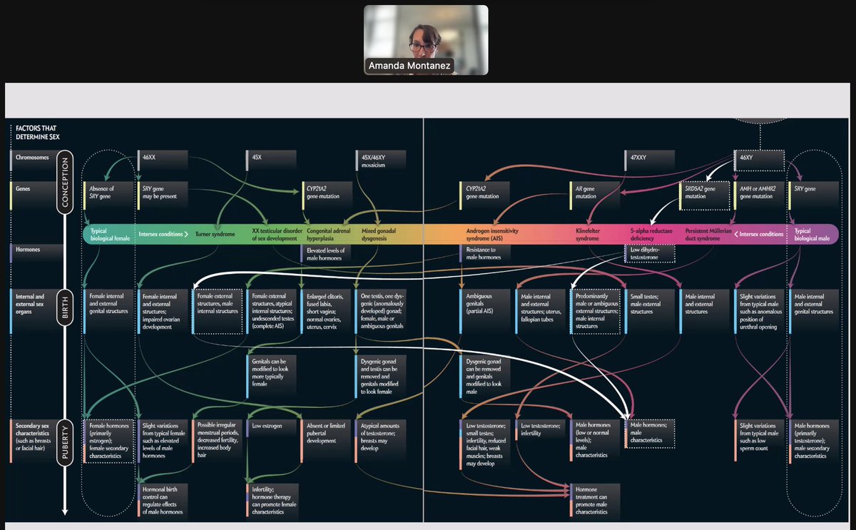 Happening right now: Amanda Montañez from Scientific American @sciam walks us through the process of generating powerful visualizations on the complexity of sex determination.
Part of #BBMRI_ELSI #SexAndGender in Biomedical Research webinar series.
Recording available soon...