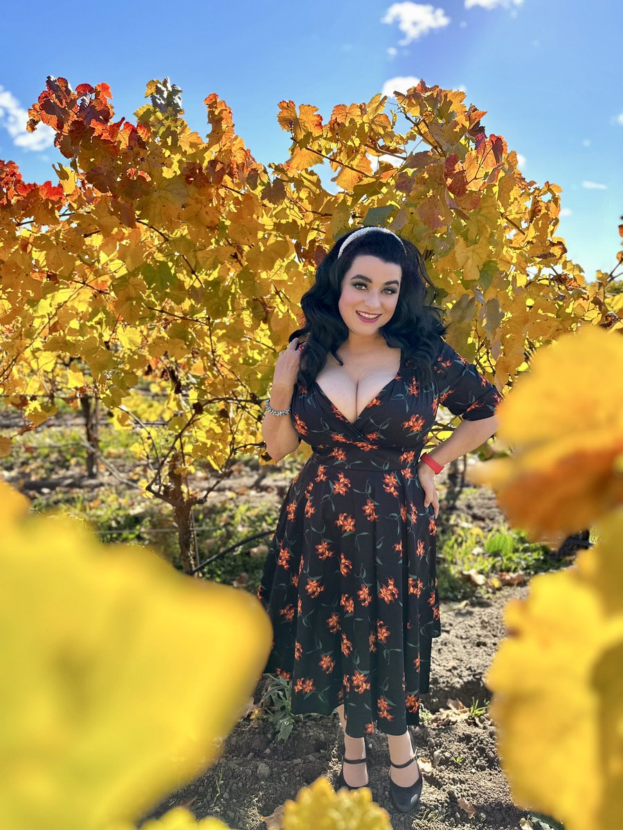 🍁One last Fall weekend in the vineyards🍁the leaves are golden and magical and my sweet hubby <a href="/garyzface/">Gary Greco</a> captured me amongst the beautiful landscape exquisitely
