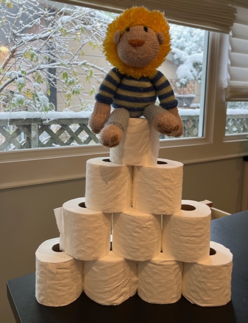 In honour of the #ToiletTrekCanada day 3 challenge, here's my toilet paper tower!

Donate to the campaign here: bit.ly/3DCBHTl

#EveryoneForever