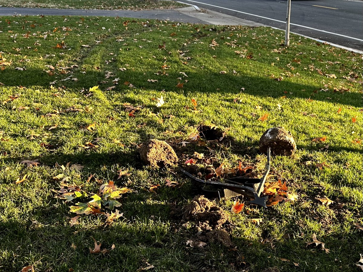 andymetzler's tweet photo. @PVPoliceDept  if someone farmed our yard last night and destroyed our rod iron address sign, is that even worth reporting? They left half their bumper in our yard. The fun of living on Tomahawk. https://t.co/jfRKMFOMiO