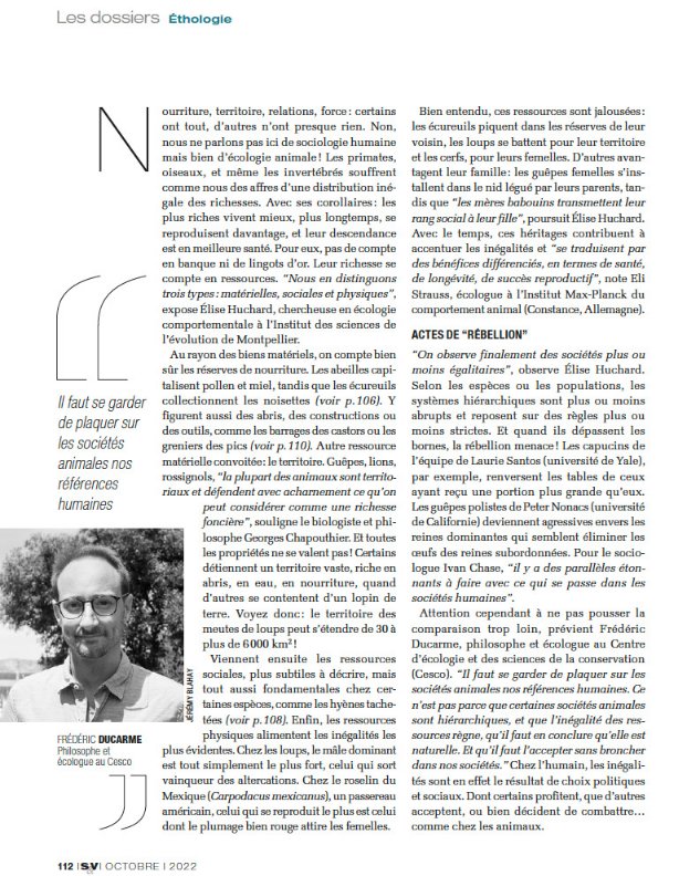 // FRED — MARSEILLE, FR — AUG21 ©Jeremy Blahay //
•
Pour le <a href="/science_et_vie/">Science&Vie</a> d'octobre dernier !

#scienceetvie #ethologie #philosophie #frédéricducarme #sociétésanimales #cesco #sociétéshumaines #biology #science #ecology #chercheurs #chercheuses #ecologiecomportementale