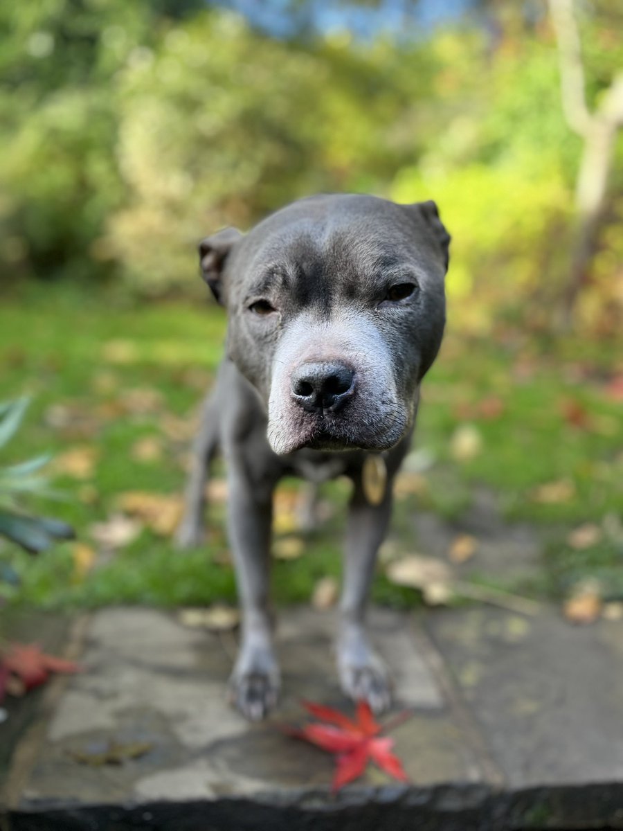 Dr Camilla Darling tweet media