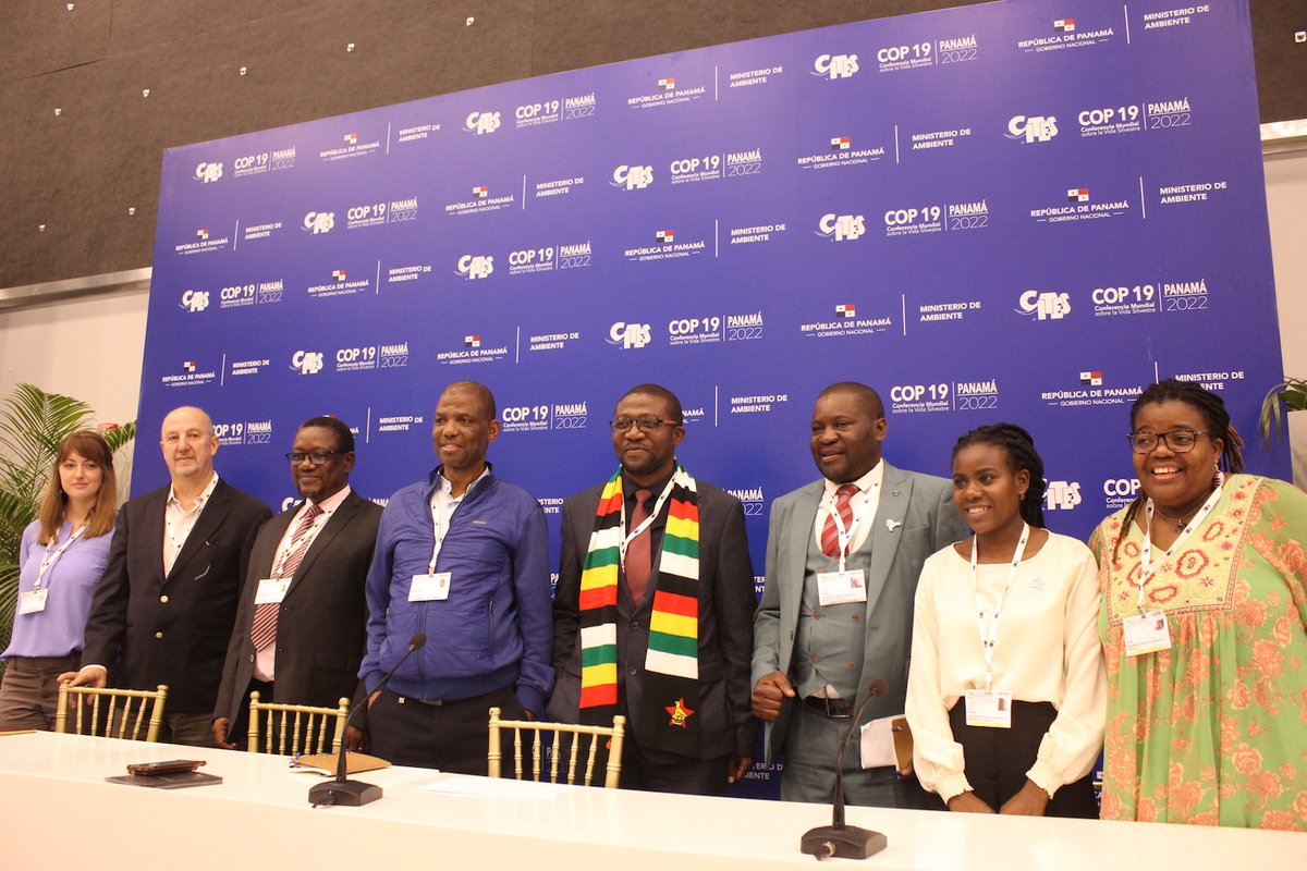 LeadersSouthern's tweet photo. Success at #CITESCoP19 yesterday included a press conference attended by the Minister of Environment of Zimbabwe Hon. Ndlovu. Moderated by @bupe_25288 with @lubilo_rodgers and @MaxiPiaLouis1  representing from CLN. Other speakers from Mexico, USA and South Africa. 🇿🇼🇿🇲🇳🇦🇿🇦🇲🇽🇺🇸 https://t.co/galTJT101T