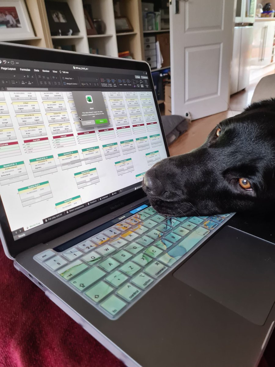 withpatience98's tweet photo. Someone’s decided to assist me in my WC score predictions.

He may become the new Paul the Octopus, who knows🤷🏼‍♀️

#WCPredictions https://t.co/O35EnI0Vk2
