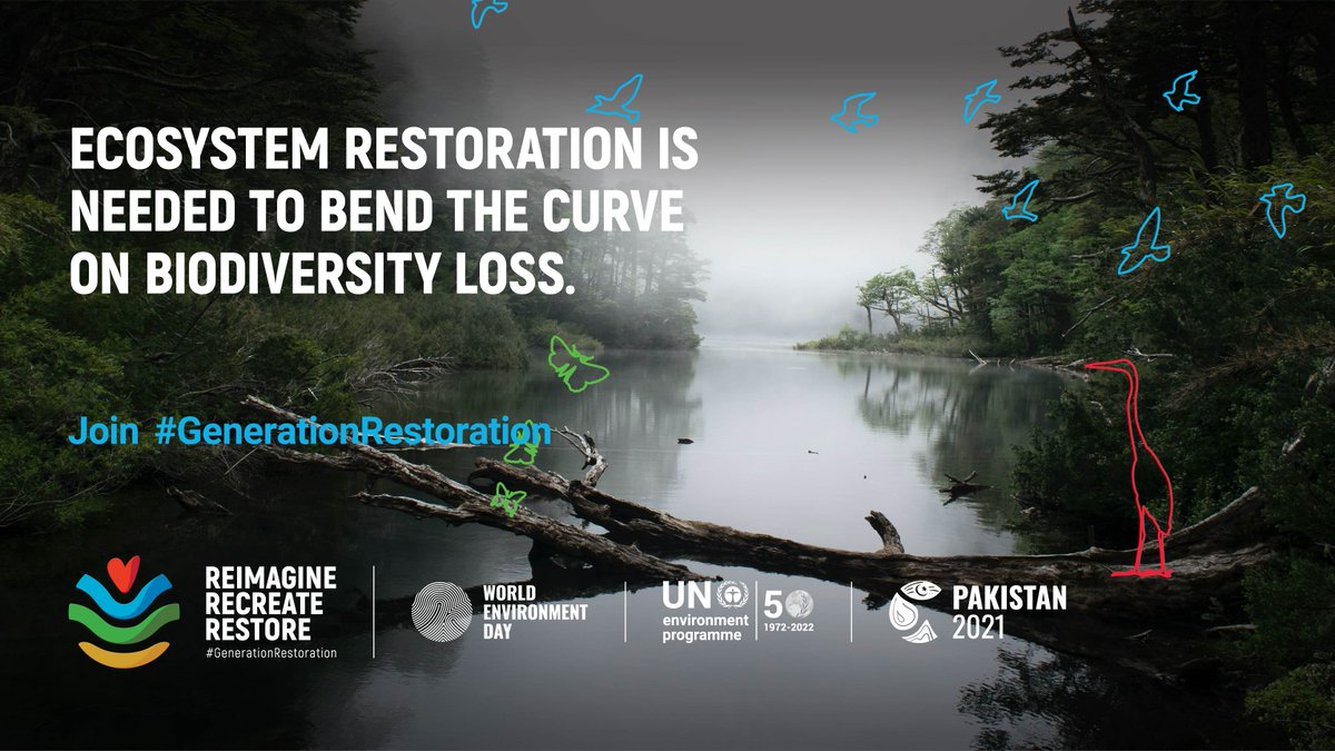 lamu_enviro's tweet photo. Healthy ecosystems are the foundation for human well-being. Each of us can play a part in protecting and restoring them – explore the #GenerationRestoration playbook with @UNEP and find out how you can contribute: Ecosystem Restoration Playbook #WorldEnvironmentDay #ForNature https://t.co/UfEb1O8pV4