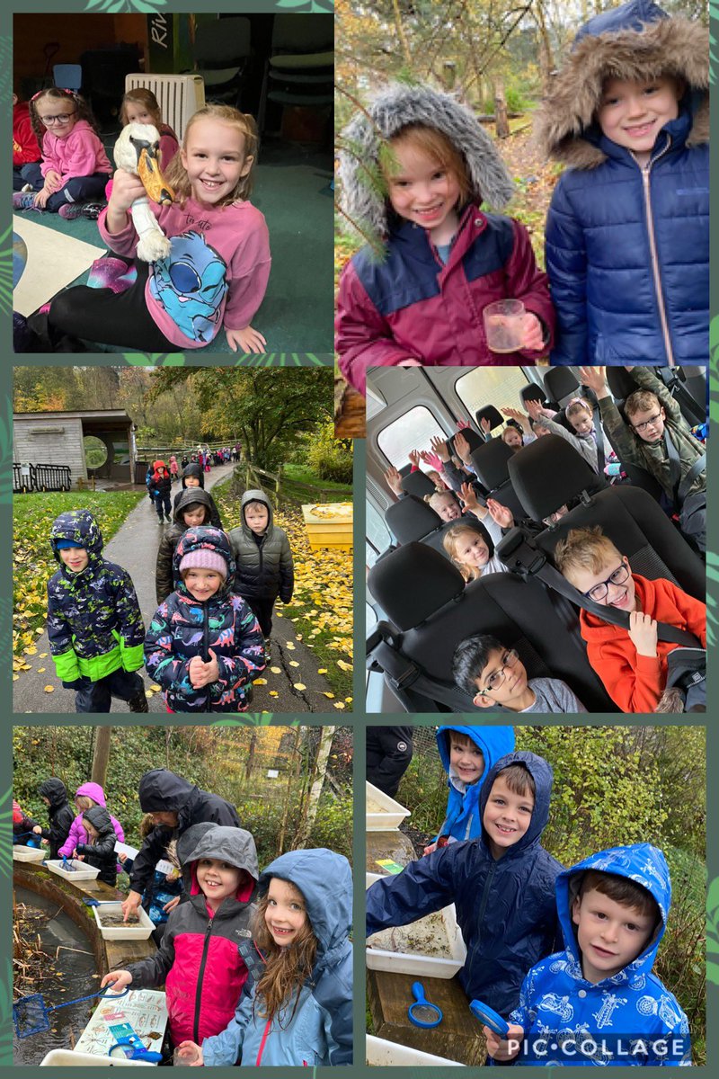 Year Two had a fantastic day exploring micro habitats at Washington Wetlands yesterday. 🐜🕷️🪱🦆

The rain did not dampen our day! 🌧️ 

Have a look at what we got up to on the link below:

youtu.be/CH9jSRo7V9s