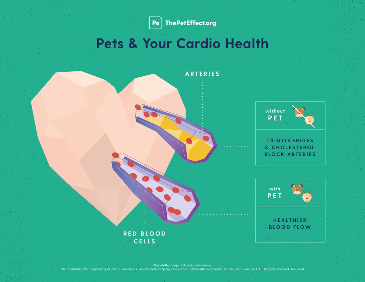 APPAtweets's tweet photo. We love research-based stats that demonstrate the science behind the health benefits of pets. Our #APPAGivesBack partner, @HABRITweets, has funded more than $3 million in innovative research projects on the human-animal bond. Check out their info library: https://t.co/Y4wTmAQqBS https://t.co/EggHtjtIBK