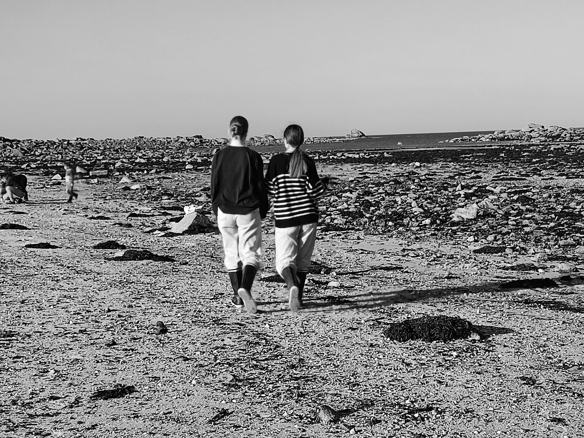 aureli72's tweet photo. Pêche à pied sur l'île de Batz !
#pêche #Bretagne #we https://t.co/O0eyRMutzc