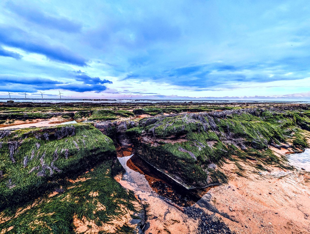 Connor Millichap tweet media