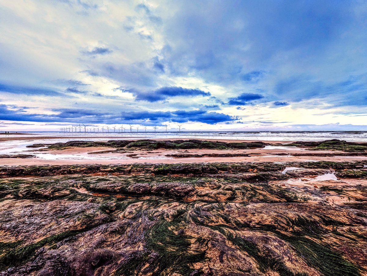 Connor Millichap tweet media