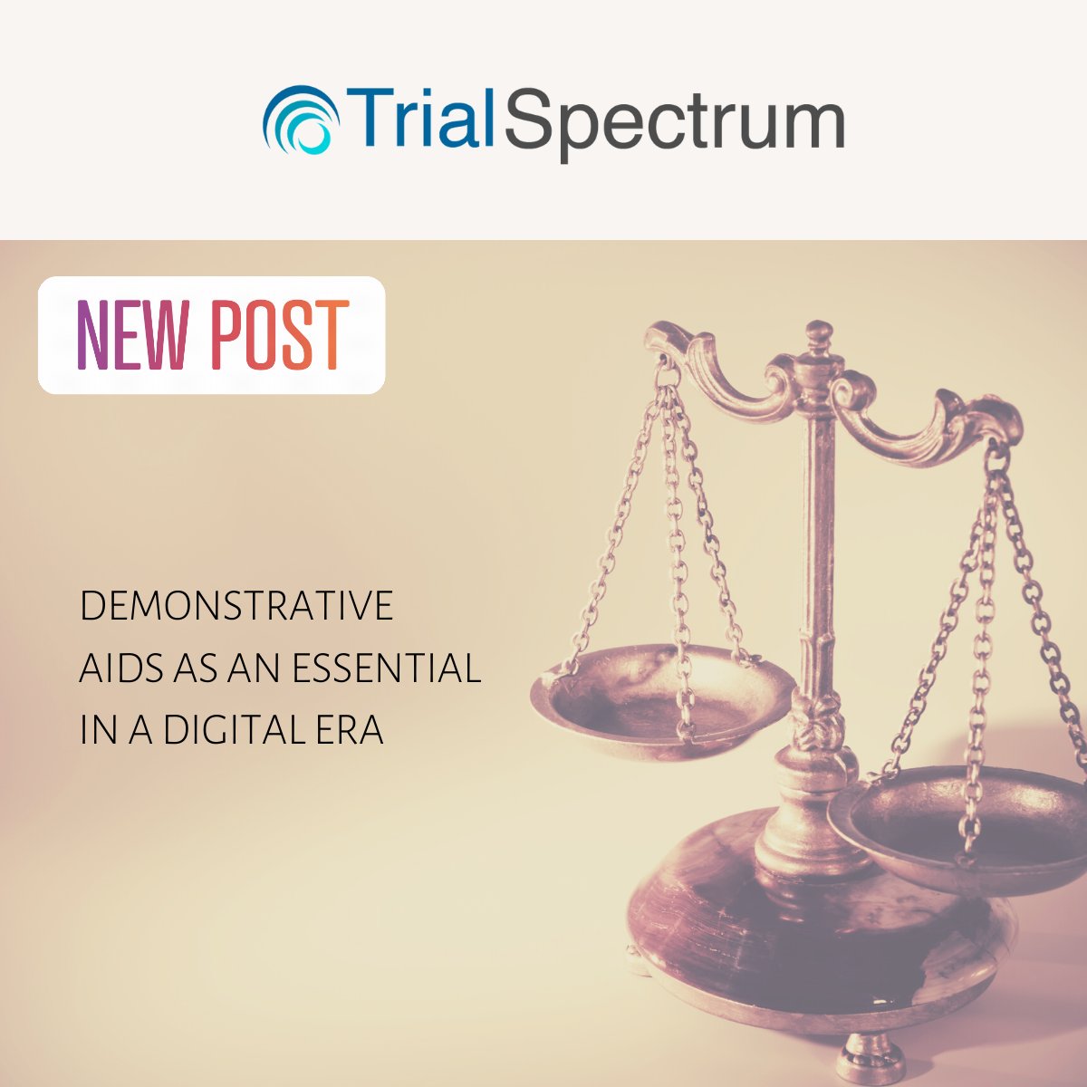 TrialSpectrum's tweet image. Check out our new blog post:
trialspectrum.com/post/demonstra…

Want to discuss demonstratives for your next case?  Contact us at (800) 789-0084 or learn more at trialspectrum.com

#demonstratives #trialexhibits #litigationsupport