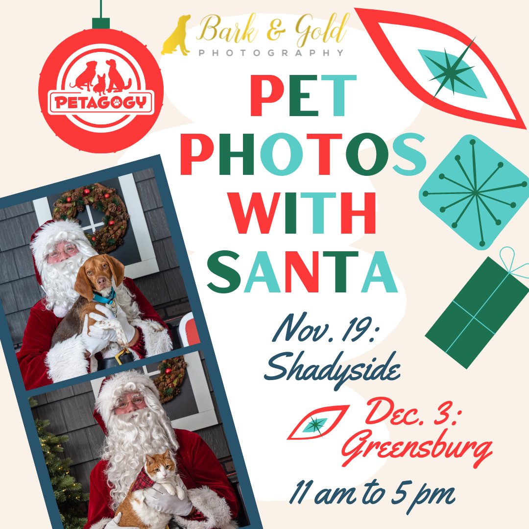 Petagogy's tweet photo. Pet Photos with Santa at Petagogy! 🎅 - https://t.co/AFyzgsV09d https://t.co/MzFawK1Z8l