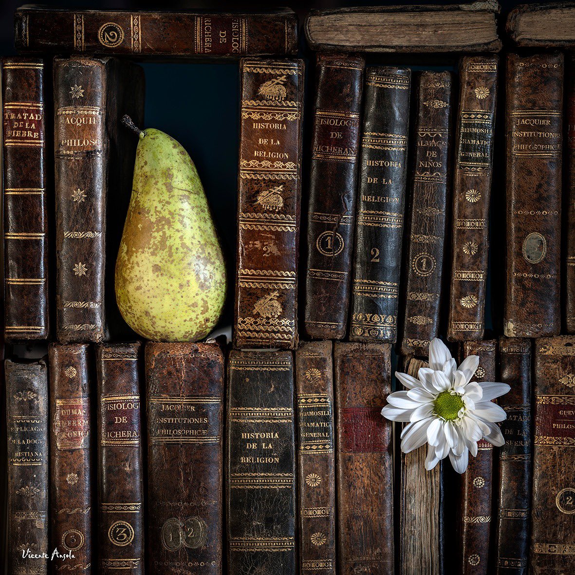 Este viernes 18 y el proximo viernes 25 de Noviembre estaré impartiendo talleres de escritura creativa de nuevo, gracias a <a href="/Juventudsantand/">JuventudSantander</a> 😁 

📍CC Numancia 

21.00 horas ⏰

¡Nos vemos allí!