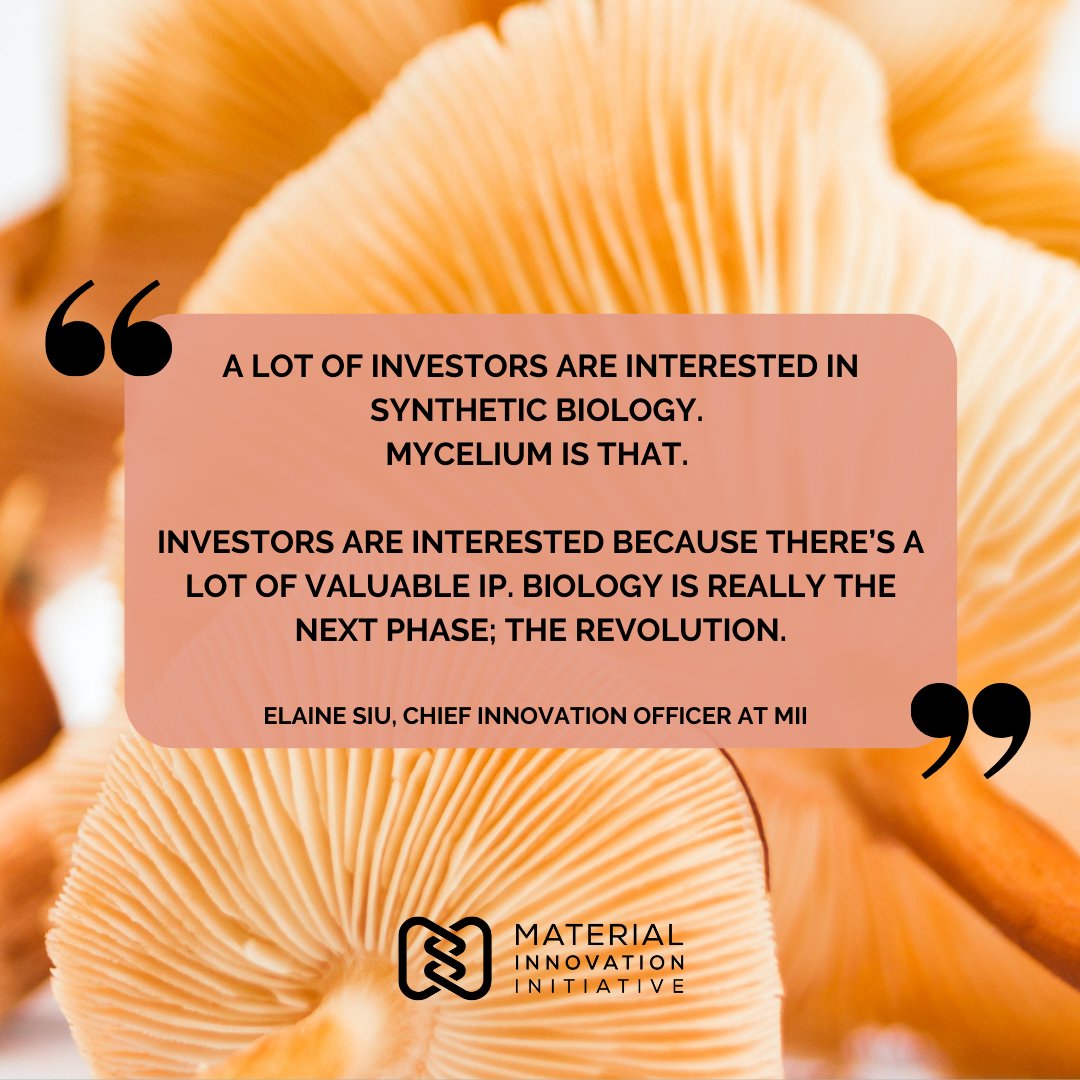 materialinnov's tweet photo. Thank you @FortuneMagazine for featuring our #research in your article on #mycelium leather!

Check out the rest of the article here:
https://t.co/HD6xZQYQZ4…

#materialinnovation #sustainable #alternativematerials #sustainablefashion https://t.co/ozGVZQOJpf