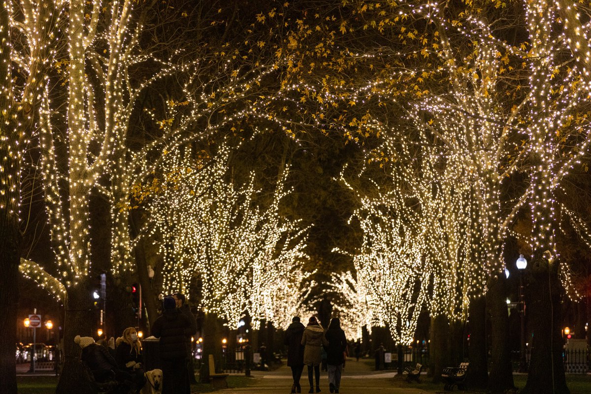 It's almost time for holiday lights, Boston! 

The first lights shine on Monday, November 21, so mark your calendars and get ready to celebrate the holiday season with the Parks Department! boston.gov/news/parks-dep…