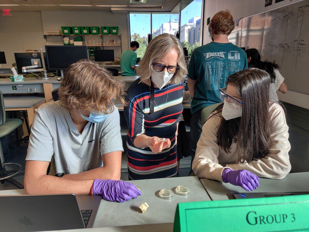 PennBElabs's tweet photo. ENGR 1010 with @karenwiney of @WineyLab. Examining their plates to see if their bacteria transformed.

@Penn @PennEngineers #PennEngineering #BioMakerSpace #MakerSpace #Bioengineering #BioMedicalEngineering https://t.co/kusU8UJS2l
