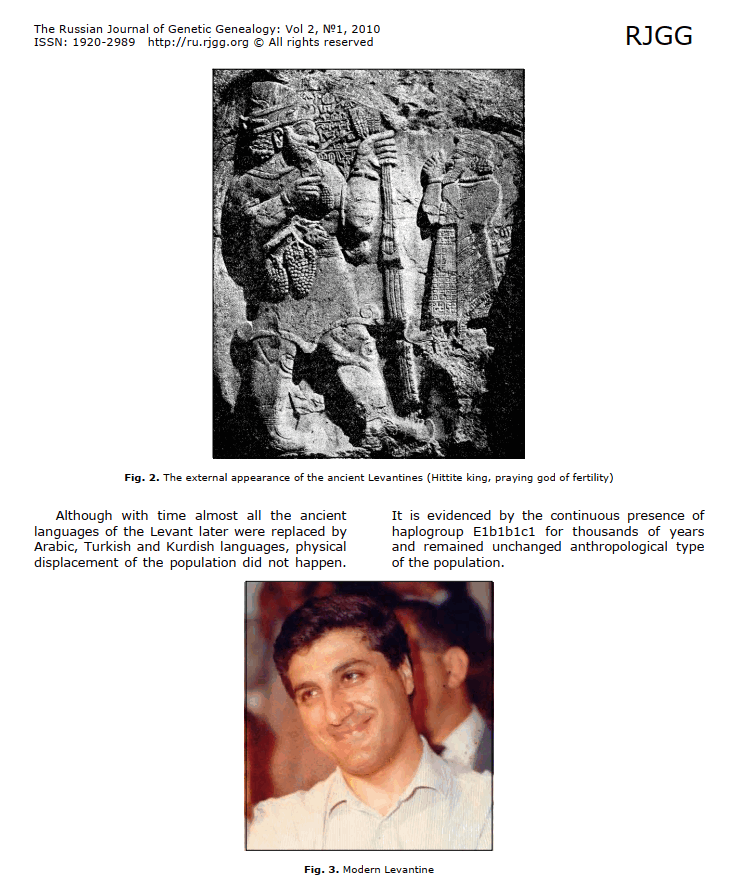 💯  دراسة روسية قديمة بمراجعة الكسندر كيريف
E1b1b1c1 (M34)
موطن التحور هو الشرق ، ويغطي جنوب شرق آسيا الصغرى ومناطق الشام (سوريا وفلسطين)هم أحفاد من بلاد الشام القديم وهذا ما اثبته الرفات لاحقا 🌹
