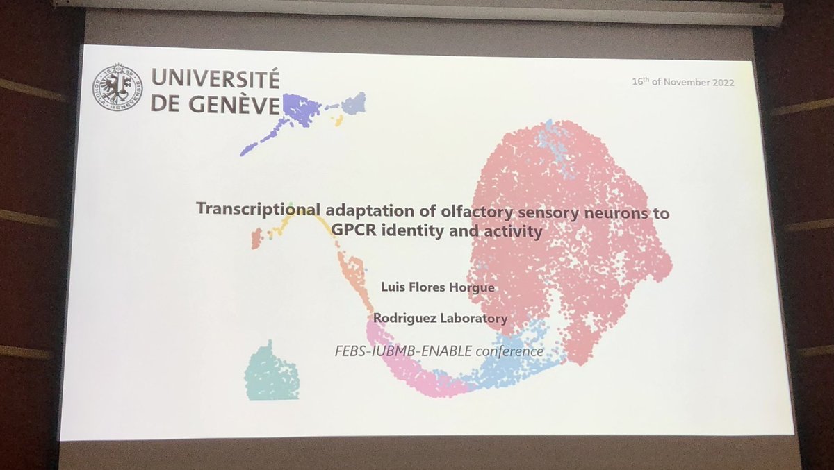 Maria D. Giraldez tweet media