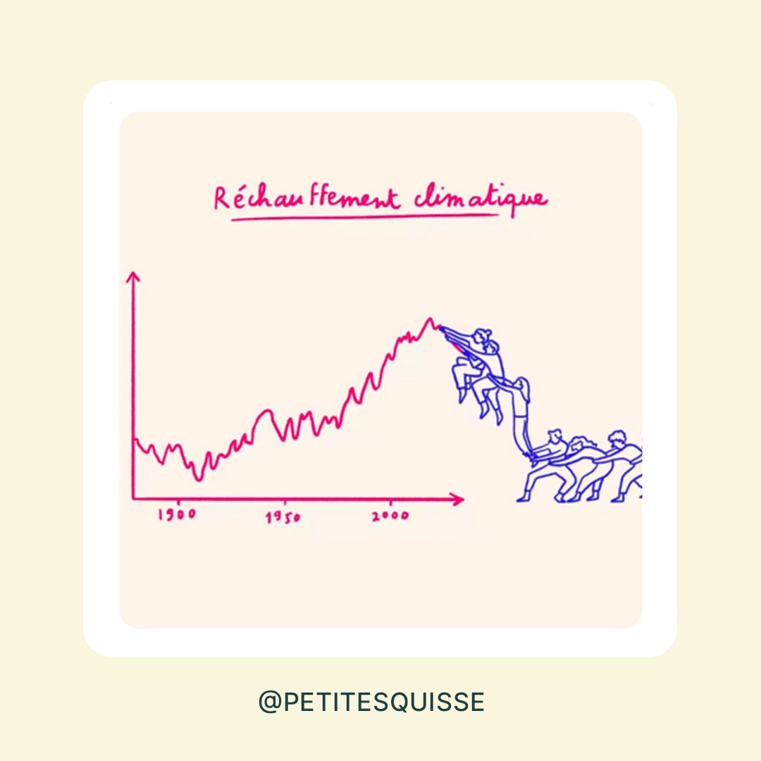 Programme Noé tweet media