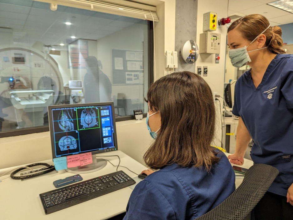 HarvardMuseum's tweet photo. For #HumanAnimalRelationshipAwarenessWeek we are spotlighting the fascinating research coming out of the @LabHecht. Their Canine Brains Project (https://t.co/LJB0Tn2qEe)  seeks to quantify neural, temperamental &amp; behavioral variation across dogs and other canines. #dogsofscience https://t.co/wSBUdfundy