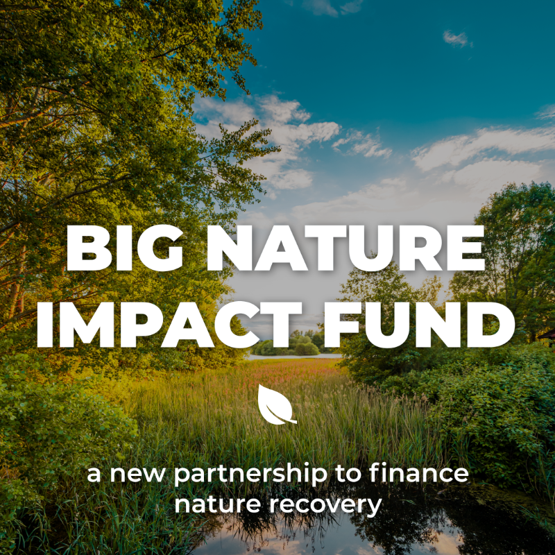 DefraGovUK's tweet photo. The Big Nature Impact Fund, confirmed at #COP27, is an innovative partnership with @FinanceEarth and @FedHermesLtd to accelerate private sector investment in nature recovery projects across England 🌱

Read more: https://t.co/7RtrpfDE3L