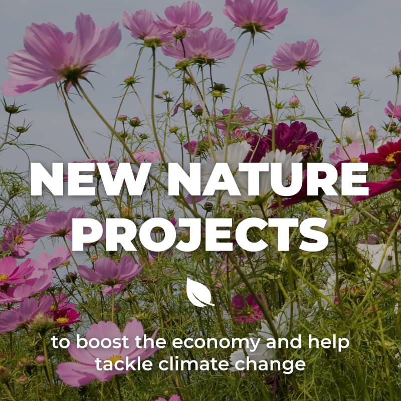 DefraGovUK's tweet photo. The Big Nature Impact Fund, confirmed at #COP27, is an innovative partnership with @FinanceEarth and @FedHermesLtd to accelerate private sector investment in nature recovery projects across England 🌱

Read more: https://t.co/7RtrpfDE3L