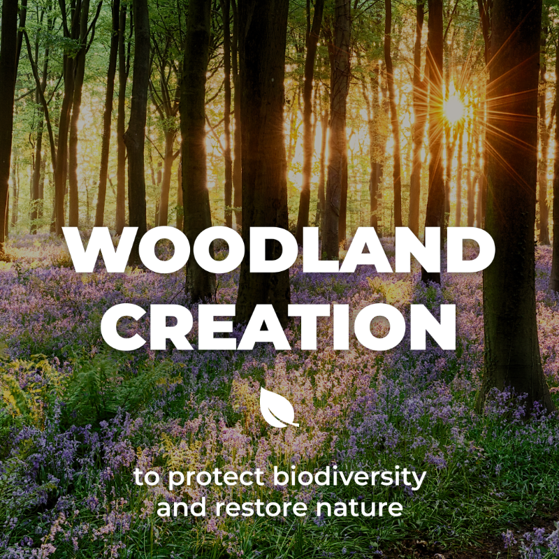 DefraGovUK's tweet photo. The Big Nature Impact Fund, confirmed at #COP27, is an innovative partnership with @FinanceEarth and @FedHermesLtd to accelerate private sector investment in nature recovery projects across England 🌱

Read more: https://t.co/7RtrpfDE3L