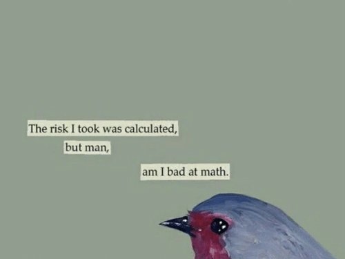 How I feel about choosing to fly Spirit