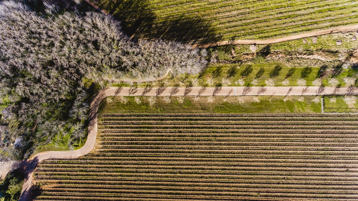 D'Aria Winery tweet media