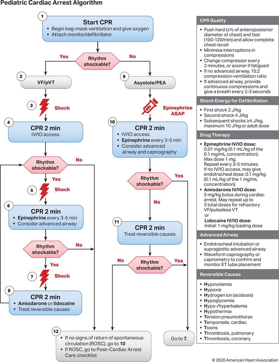 emergmedottawa's tweet photo. With this already being a very challenging pediatric viral season, we're starting to see more children present to non-pediatric hospitals.

Are you up to date on the latest AHA PALS guidelines? 

Dr. Nandalal has a great breakdown of the last PALS update:

https://t.co/sVJOad5tzL https://t.co/UuZgHXTBrZ